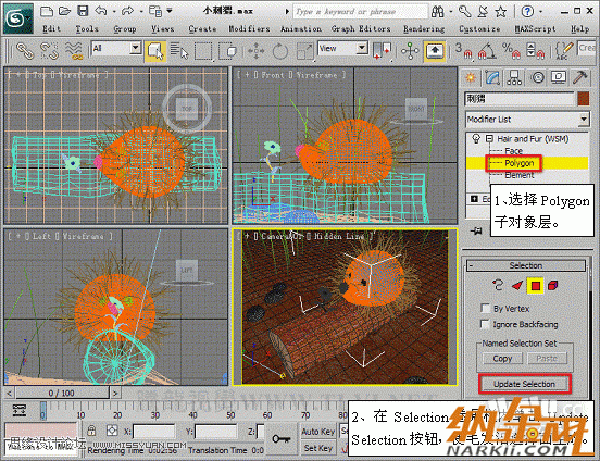 3D Max使用Hair and Fur修改器設置毛發(fā)效果,PS教程,設友公社教程網(wǎng)