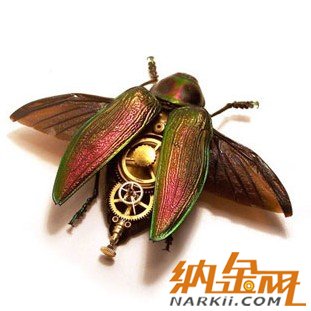 《激戰(zhàn)鳥人》- Maya作品 - 3D動(dòng)畫教程 -  72_3f89d561.jpg