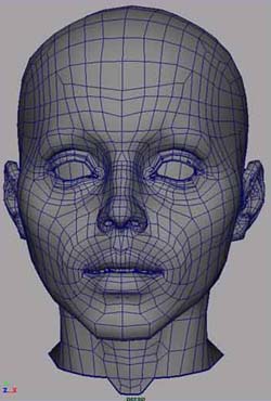 maya入門之臉部布線建模