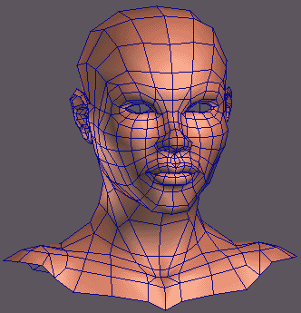 maya入門之臉部布線建模