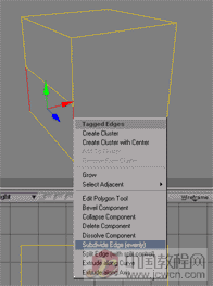 softimage教程之制作動(dòng)物模型