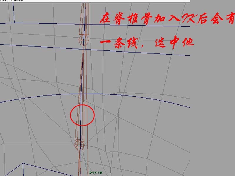 中高級骨骼綁定maya教程